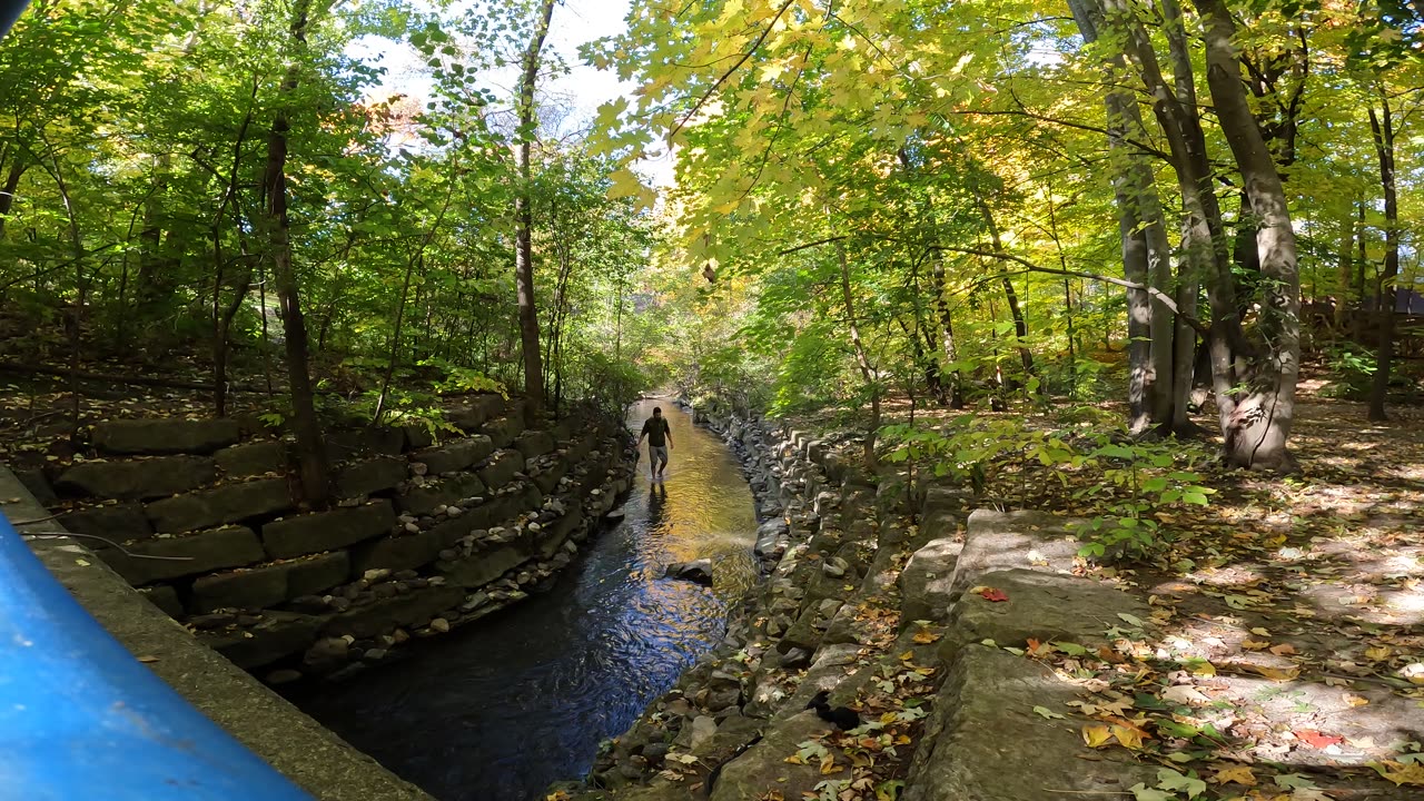 🌊 💦 In My Zone 🍂 Fall Edition 🌴 Day 13 Creek Life In Ottawa 🍁 Canada🌲