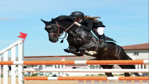 ORAÇÃO DO PERDÃO PARA SUPERAR OBSTÁCULOS -Dificuldades Impedimentos