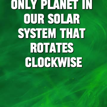 👍True or False 👎 #6