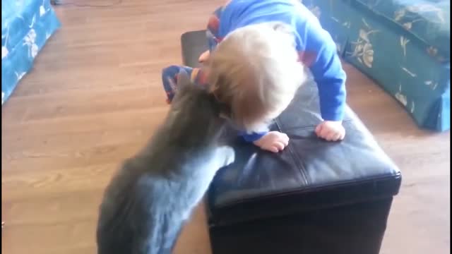 Cat play with baby boy