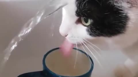 Good thirst