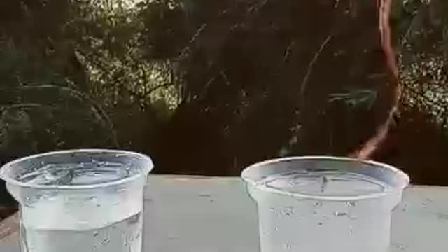 amazing experiment glass and water