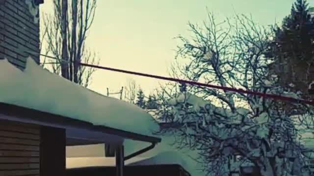 Collab copyright protection - swan dive roof faceplant snow