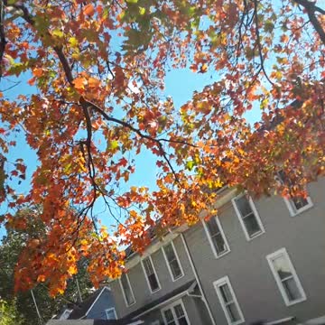 Go USA! October 25th, 2021 Lancaster, Ohio