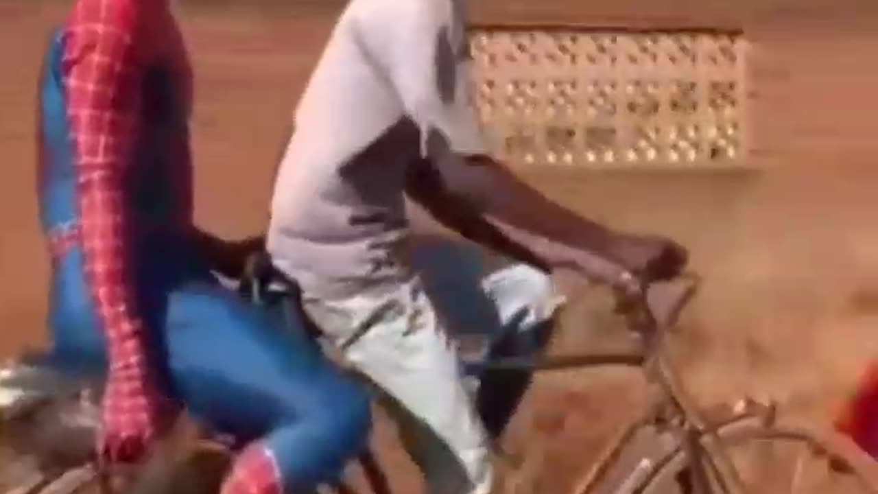 The chicken needs a spider man suit