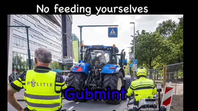 Fact check these memes