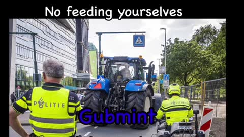 Fact check these memes