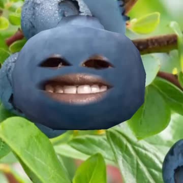 Blueberry Rap