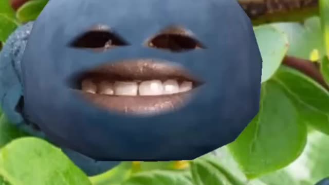Blueberry Rap