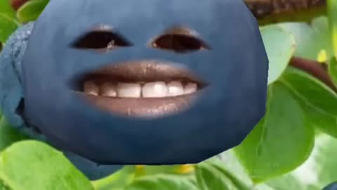 Blueberry Rap