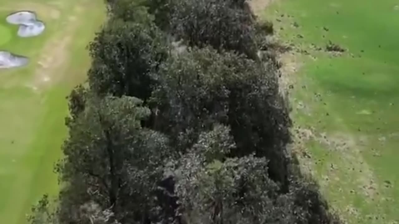 Drone shows damage to Augusta National's Magnolia Lane