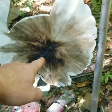 8mm Incendiary round vs ar400 Turkey