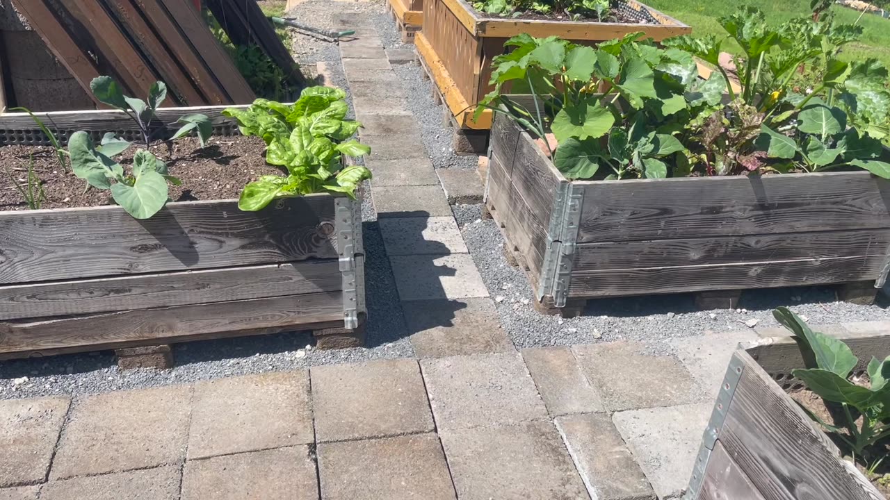 Garden path and a look at the grow beds