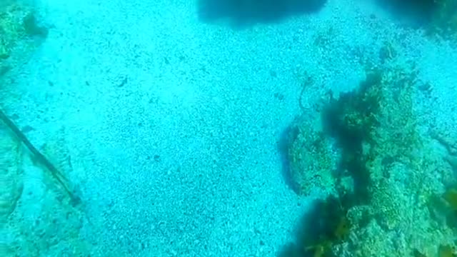 just out here doing the ocean a favour