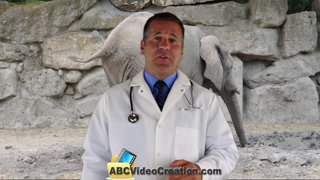 veterinary Animal video #1 type