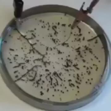 graphene oxide's reaction to 5G