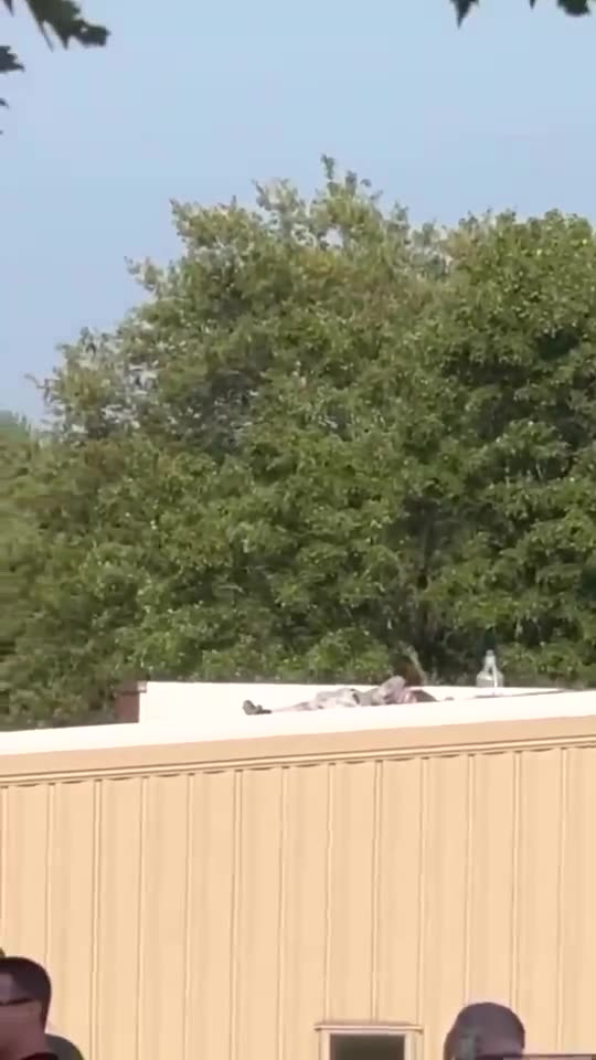 Donald Trump Assassins Body Lay Waste