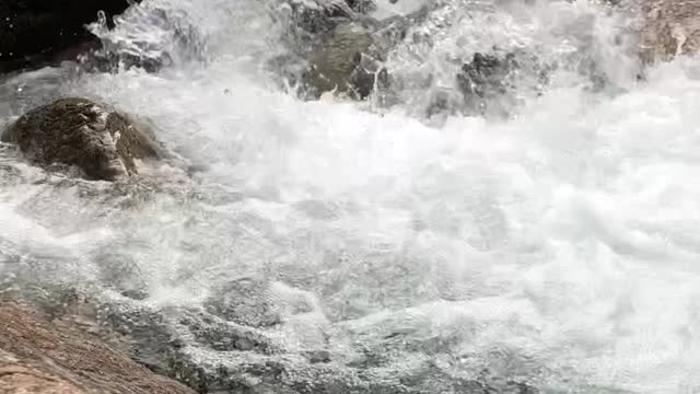 Water that gathers into one place.