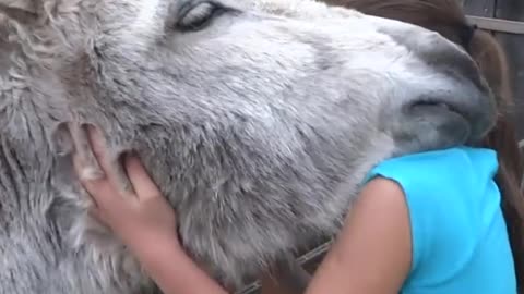 Girl and Donkey Hug
