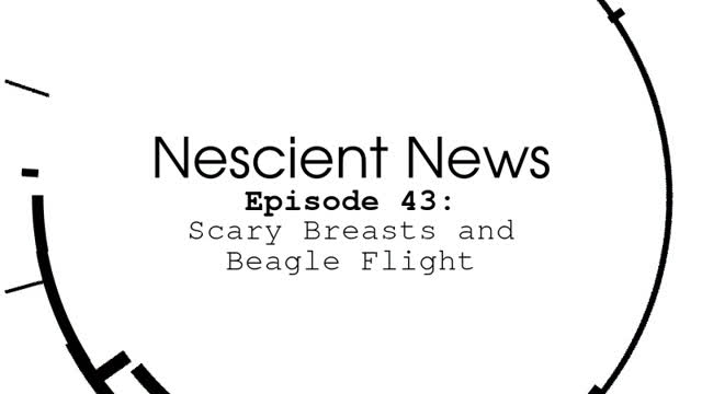 Episode 43: Scary Breasts And Beagle Flight