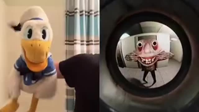 Donald Duck is nervous #shorts