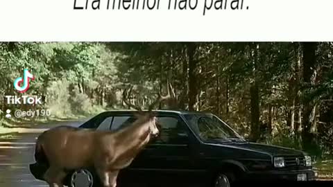 Filme o chamado 2 terror