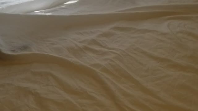 Putting sheets on the bed has challenges