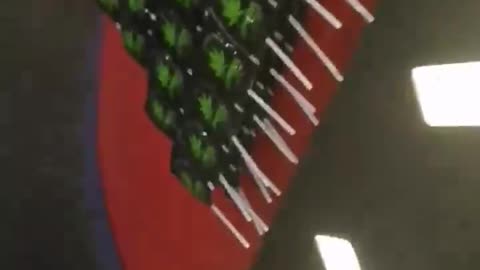 Weed in Netherlands