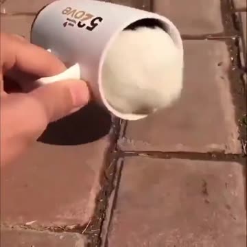 I hate Mondays 🤣😂🤣