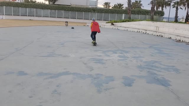 Skateboarding Dog Avoids Collision With Kid