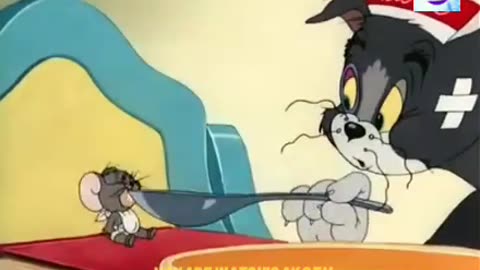 Tom & jerry