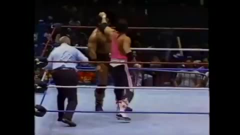 WWF Coliseum Video - Battle of the Superstars Vol 2 - 1991