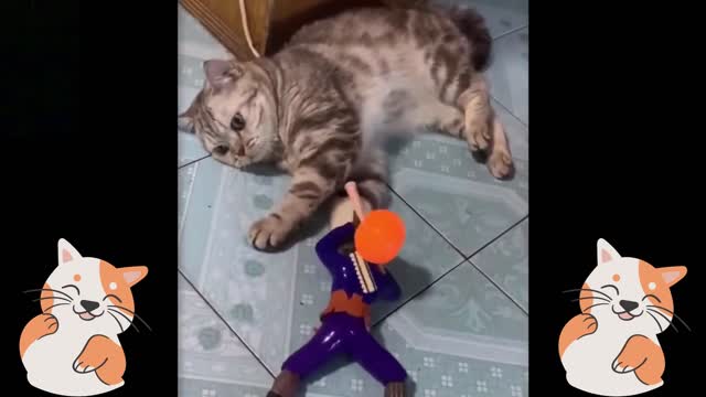 Cute and Funny Pets Video