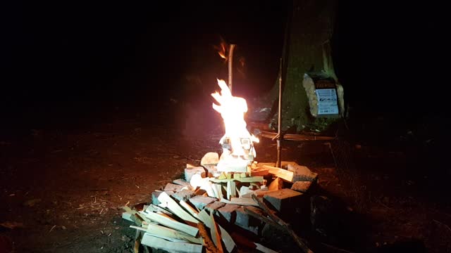 Freshly lit campfire. Woodland wildcamping