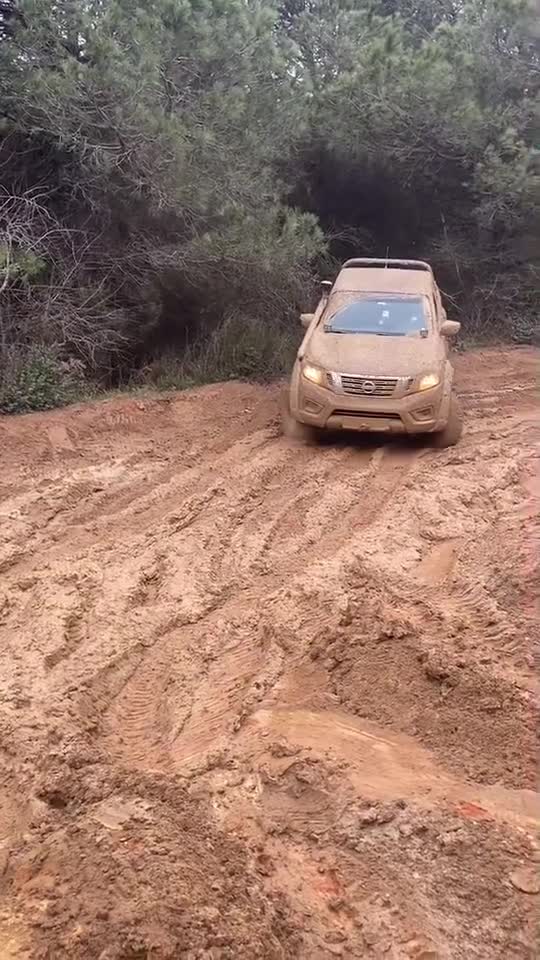 funny|prank|jokes|funny jokes|dad jokes|funny memes|funny video|fun|laughing|funny animal|knock