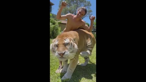 Funny Animals - Funny Videos - Funny Animal Moments 2021