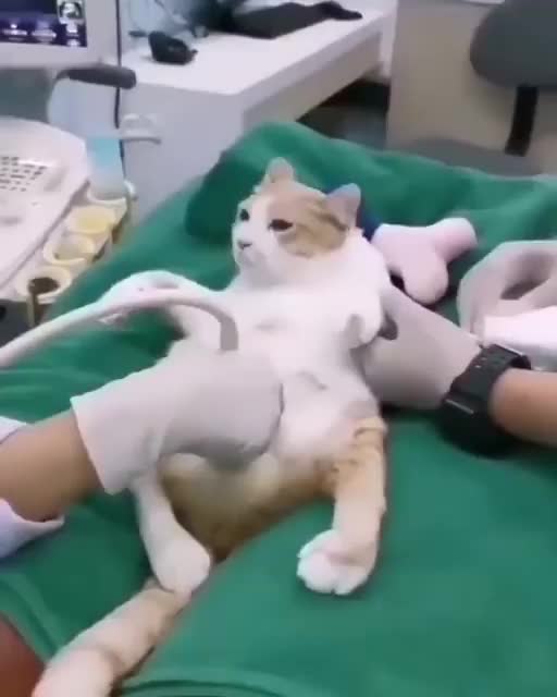 So happy 🥰🥰🥰