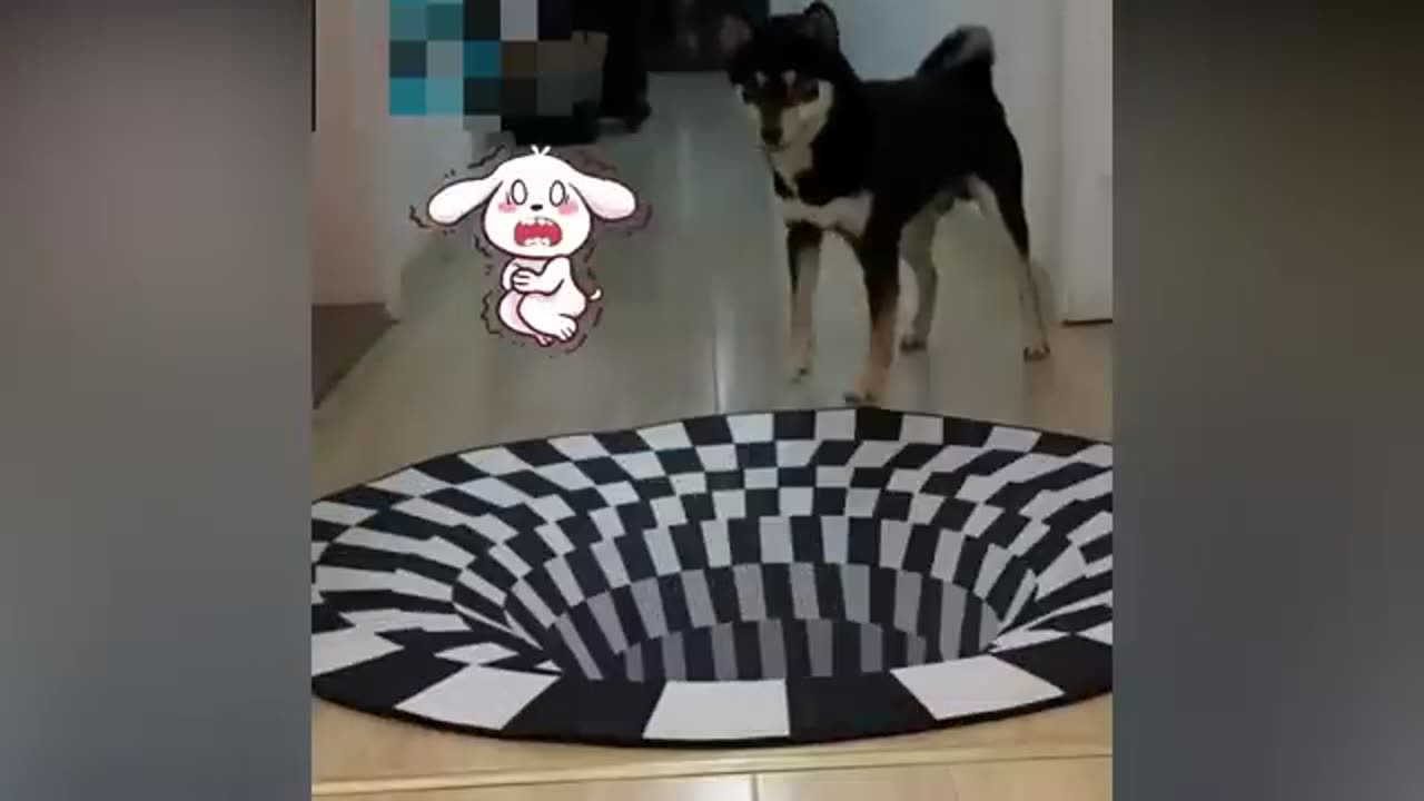 A 3D rug that fools the dogs…😂