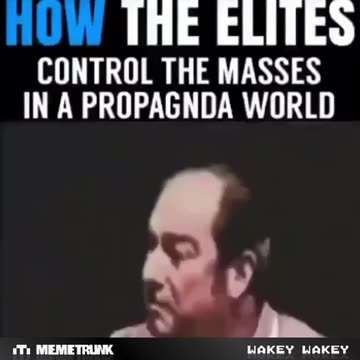 How the elites control the masses in a propaganda world