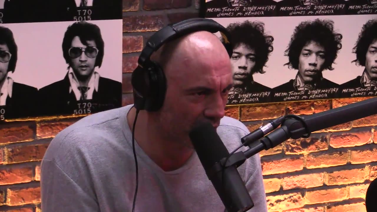 Joe Rogan Experience #911 - Alex Jones & Eddie Bravo