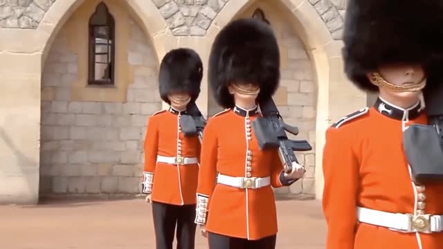 A secret the Royal Guard doesn't want you to know