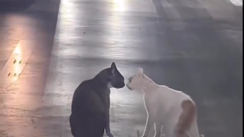 TOXIC RELATIONSHIP
