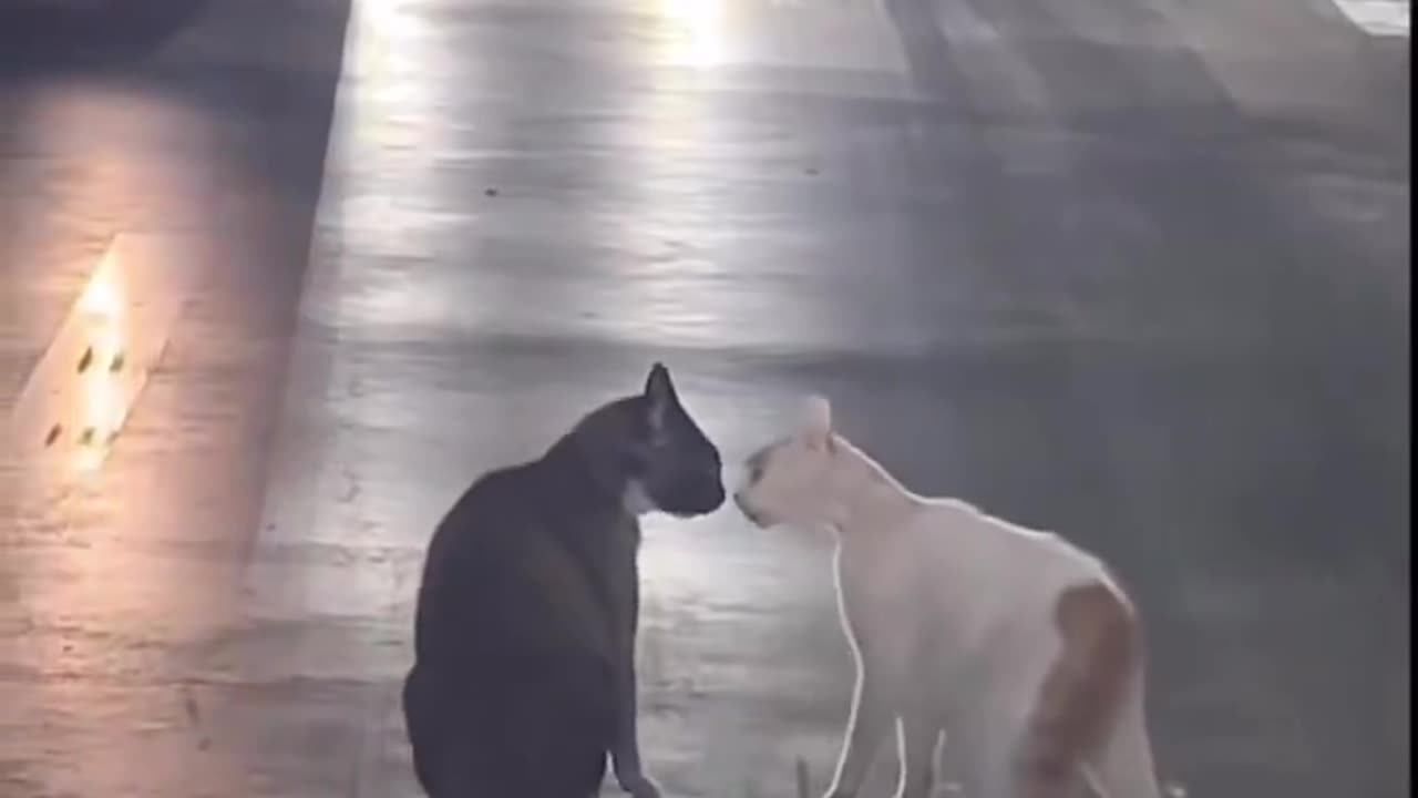 TOXIC RELATIONSHIP