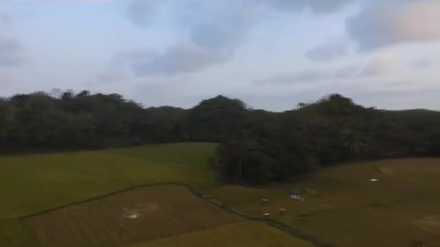West Java rice fields are very beautiful