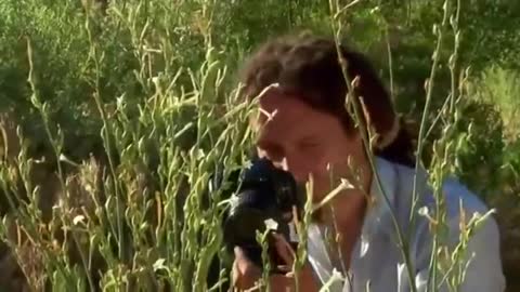 What Plants Talk About (Full Documentary)