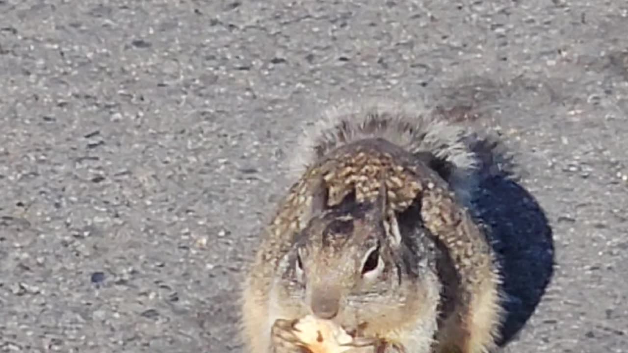 Sorry I have to eat and run!