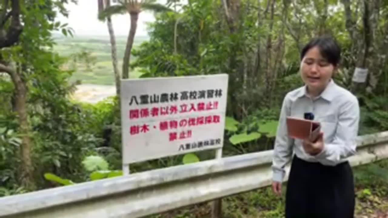 #236 Activists illegally cut down forests