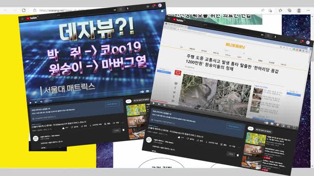 [서울대 매트릭스] 또다시, 판테믹 경고!? (feat. 지옥의 문이 열리나?)