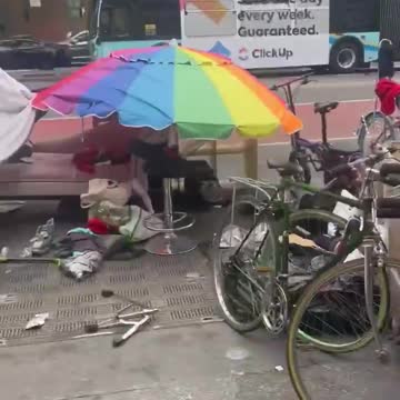 New York City Has Become A Wasteland, Just Like Los Angeles, California!