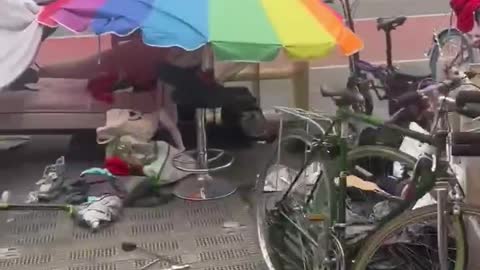 New York City Has Become A Wasteland, Just Like Los Angeles, California!